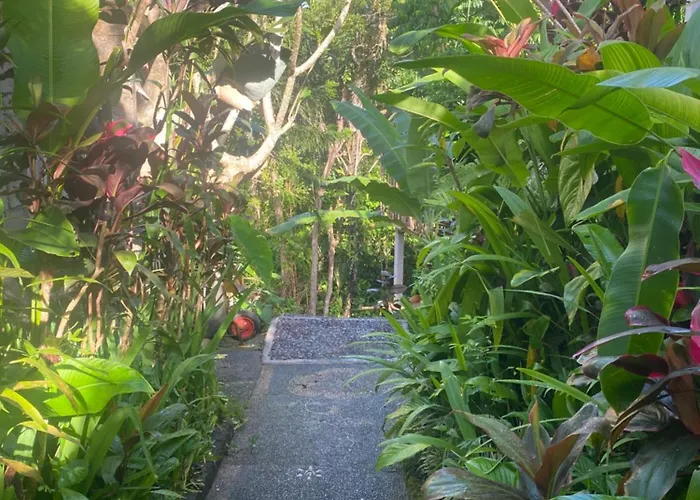 Moning Junggel View Ubud