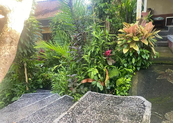 Moning Junggel View Apartment *